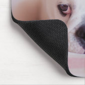 Schüchterner englischer Bulldoggen-Welpe Mousepad (Ecke)