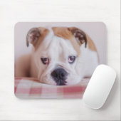 Schüchterner englischer Bulldoggen-Welpe Mousepad (Mit Mouse)
