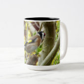 Schüchterner Goldfinch Zweifarbige Tasse (VorderseiteRechts)