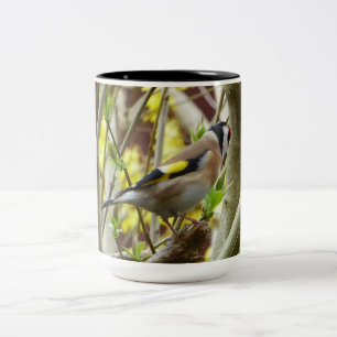 Schüchterner Goldfinch Zweifarbige Tasse