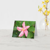 Schüchterner Hibiskus Karte (Gelbe Blume)
