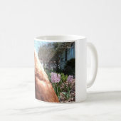 Schüchternes Huhn Kaffeetasse (VorderseiteRechts)
