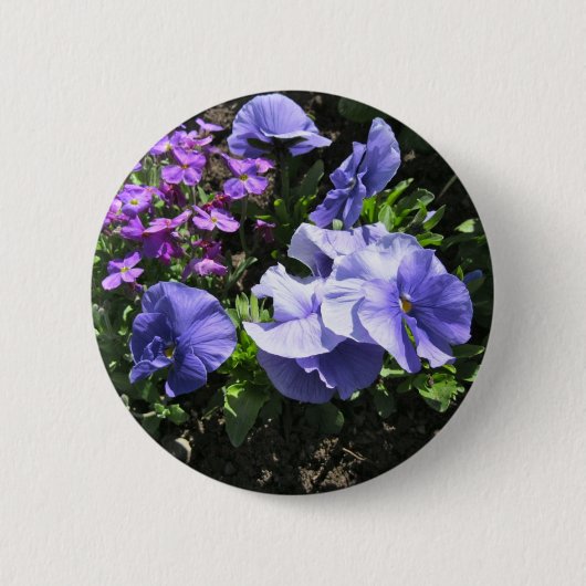 Schüchternes lila Stiefmütterchen Button (Vorderseite)