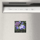 Schüchternes lila Stiefmütterchen Magnet (In Situ (Geschirrspüler))