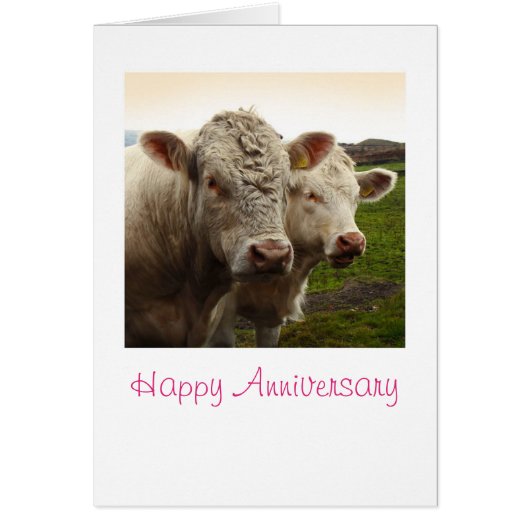 Schüchtert Jahrestagskarte ein (Vorne)