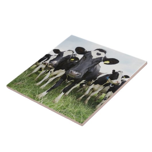 Schüchtert stehendes in einer Reihe ein, die Fliese (Seite)