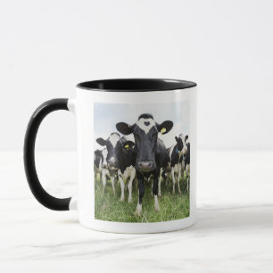 Schüchtert stehendes in einer Reihe ein, die Tasse
