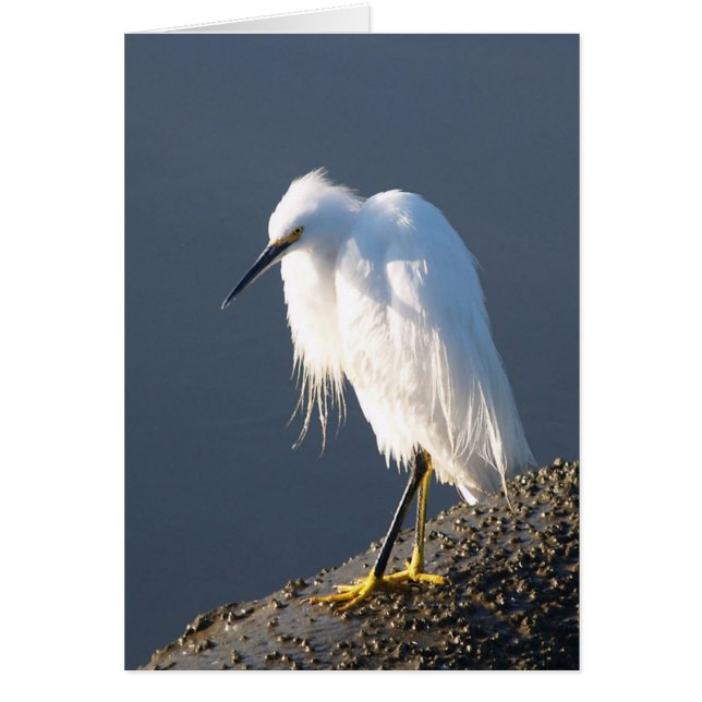 Schuh-Therapiekarte (Vorne)