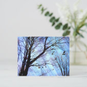 Schuhbaum Postkarte (Stehend Vorderseite)