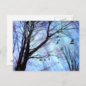Schuhbaum Postkarte (Vorne/Hinten)
