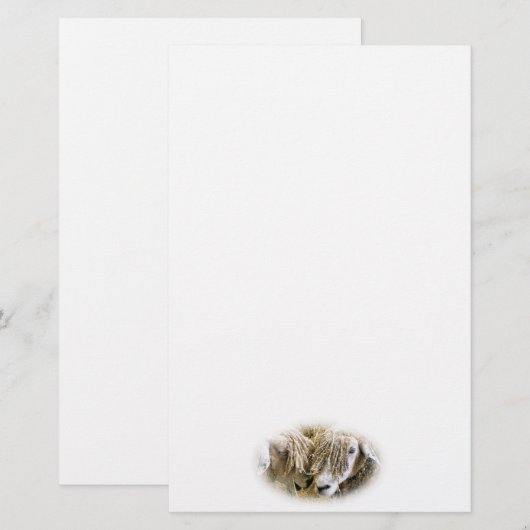 SCHUHE BRIEFPAPIER (Vorne/Hinten)