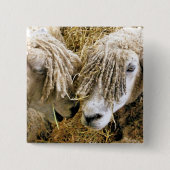 SCHUHE BUTTON (Vorderseite)