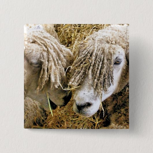 SCHUHE BUTTON (Vorderseite)