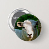 SCHUHE BUTTON (Vorne & Hinten)