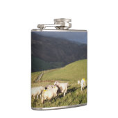 SCHUHE FLACHMANN (Rechts)