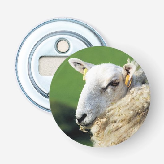 SCHUHE FLASCHENÖFFNER (Vorderseite)