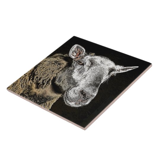 SCHUHE FLIESE (Seite)