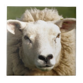 SCHUHE FLIESE (Vorderseite)