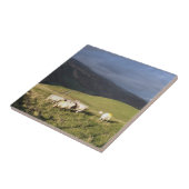 SCHUHE FLIESE (Seite)