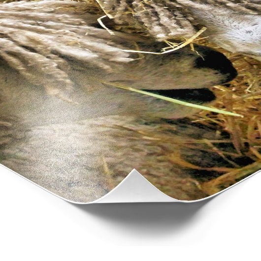 SCHUHE FOTODRUCK (Ecke)