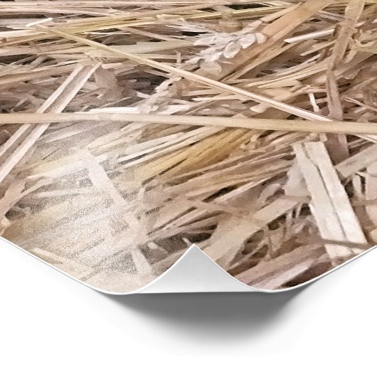 SCHUHE FOTODRUCK (Ecke)