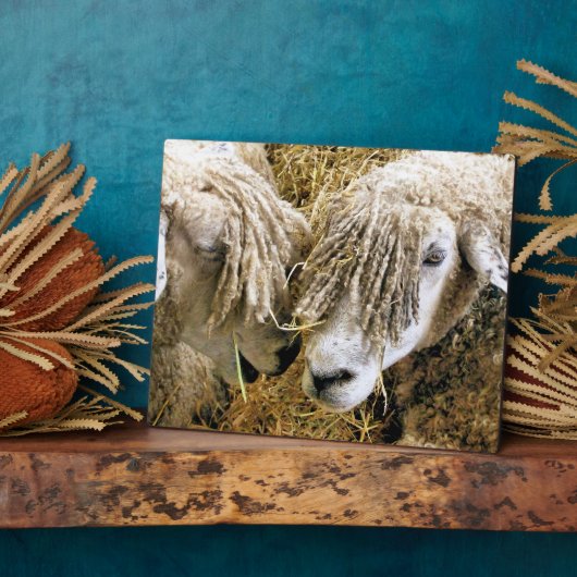 SCHUHE FOTOPLATTE (Seite)