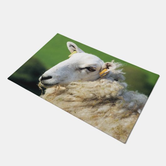 SCHUHE FUßMATTE (Schrägansicht)