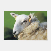 SCHUHE FUßMATTE (Vorderseite)