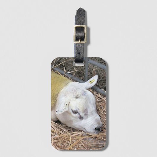 SCHUHE GEPÄCKANHÄNGER (Vorderseite Vertikal)