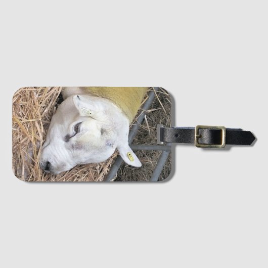 SCHUHE GEPÄCKANHÄNGER (Vorderseite (Horizontal))