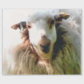 SCHUHE GESCHENKPAPIER (Flach)