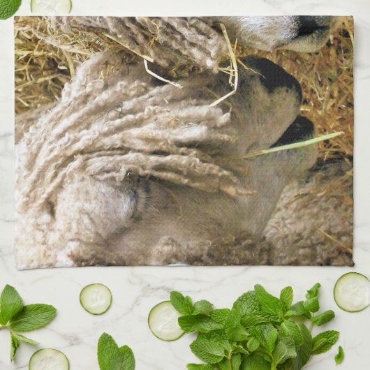 SCHUHE GESCHIRRTUCH (Gefaltet)