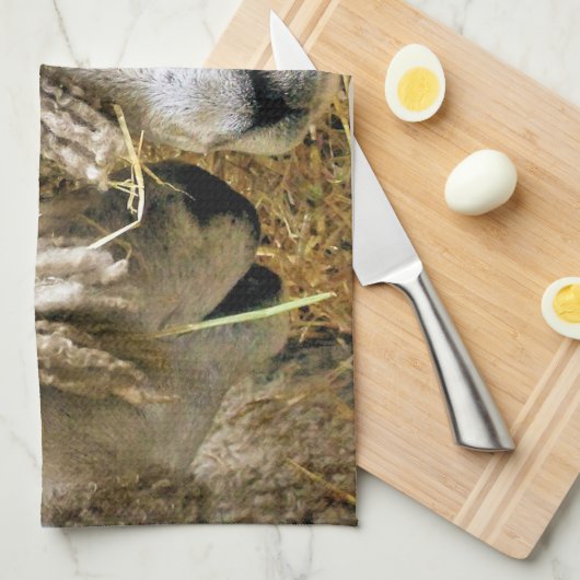 SCHUHE GESCHIRRTUCH (Viertel Falte)