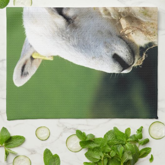 SCHUHE GESCHIRRTUCH (Gefaltet)