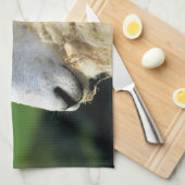 SCHUHE GESCHIRRTUCH (Viertel Falte)