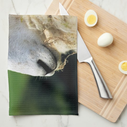 SCHUHE GESCHIRRTUCH (Viertel Falte)