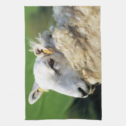 SCHUHE GESCHIRRTUCH (Vertikal)