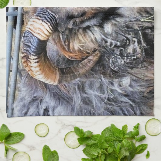 SCHUHE GESCHIRRTUCH (Gefaltet)