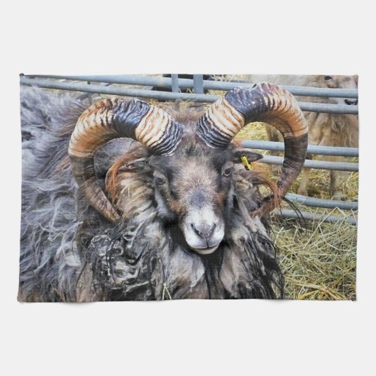 SCHUHE GESCHIRRTUCH (Horizontal)