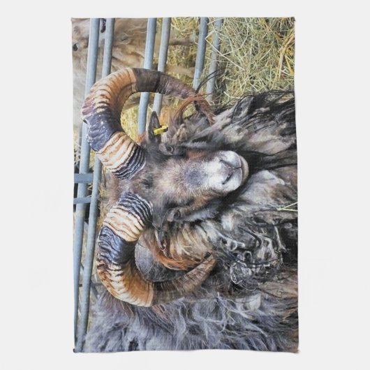 SCHUHE GESCHIRRTUCH (Vertikal)