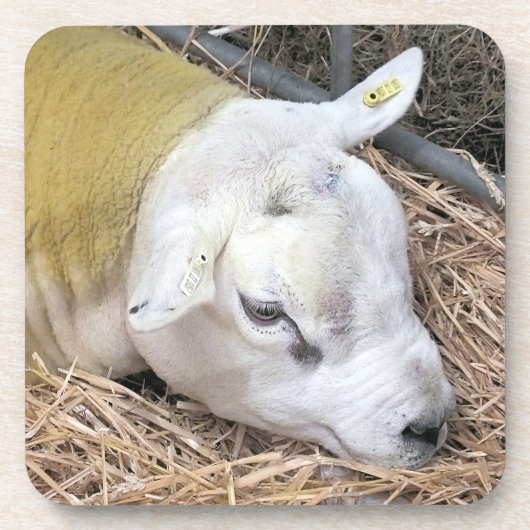 SCHUHE GETRÄNKEUNTERSETZER (Vorderseite)