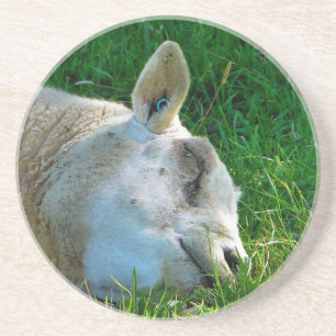 SCHUHE GETRÄNKEUNTERSETZER