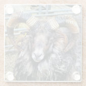 SCHUHE GLASUNTERSETZER (Rückseite)