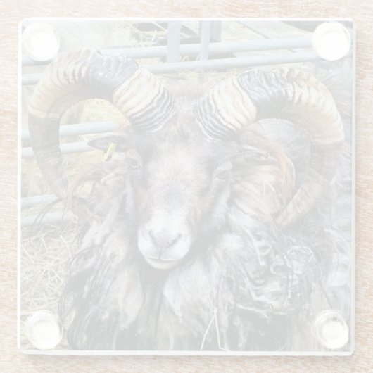 SCHUHE GLASUNTERSETZER (Rückseite)