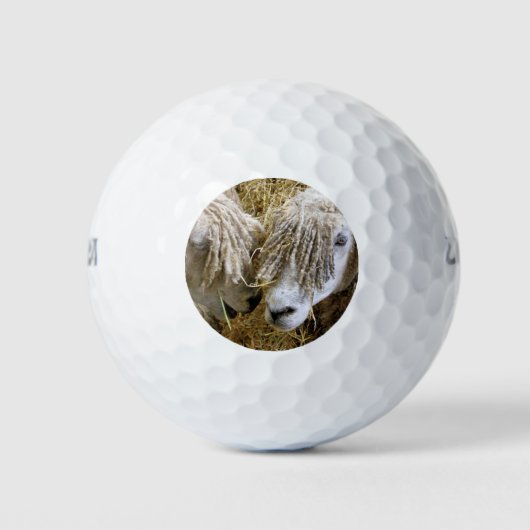 SCHUHE GOLFBALL (Vorderseite)