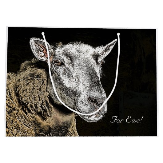 SCHUHE GROßE GESCHENKTÜTE (Rückseite)