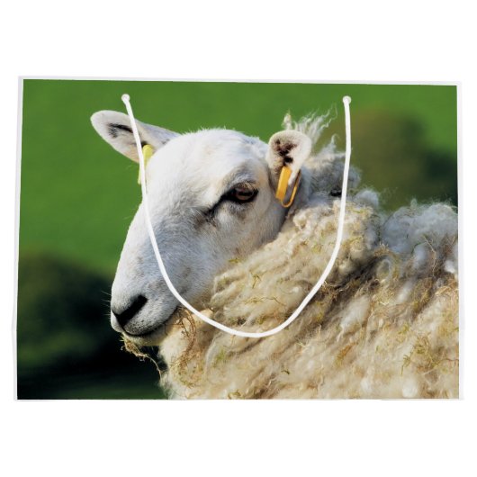 SCHUHE GROßE GESCHENKTÜTE (Rückseite)