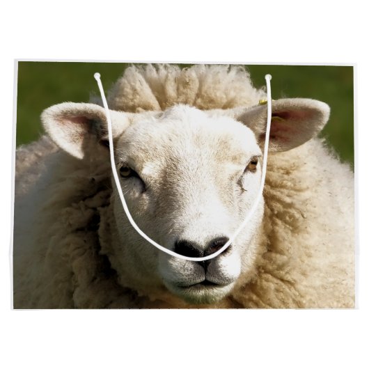 SCHUHE GROßE GESCHENKTÜTE (Rückseite)