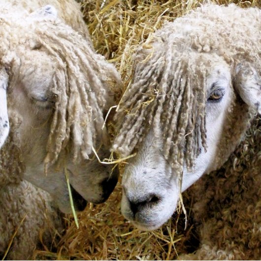 SCHUHE GROßE WANDUHR