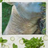 SCHUHE HANDTUCH (Gefaltet)